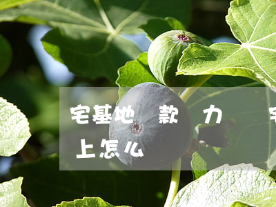 宅基地貸款無力償還(宅基地做了抵押,錢還不上怎么辦)