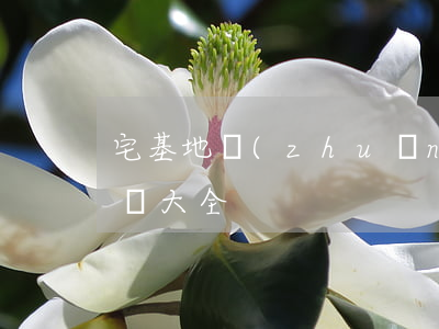 宅基地轉(zhuǎn)讓協(xié)議書大全