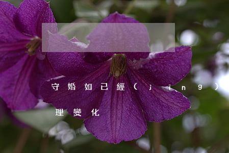 守婚如已經(jīng)離婚(守婚的原配心理變化)
