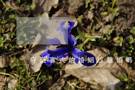 守活寡式的婚姻該離婚嗎