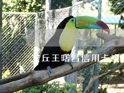 安丘王曙昌信用卡逾期還款后果-