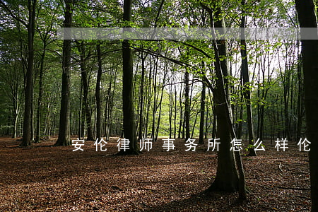 安伦律师事务所怎么样(伦教律师事务所地址)