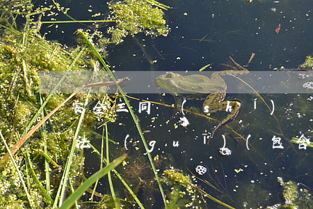 安全三同時(shí)國(guó)家法律法規(guī)(包含三同時(shí)的法律法規(guī)有哪些)