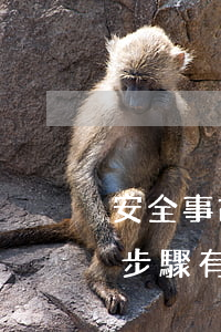 安全事故調(diào)查報(bào)告步驟有哪些