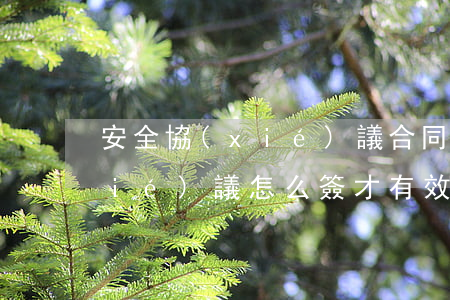 安全協(xié)議合同怎么寫(安全協(xié)議怎么簽才有效)