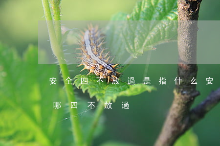 安全四不放過是指什么(安全事故四不放過是哪四不放過)