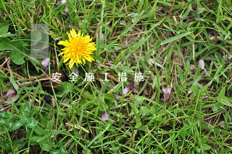 安全施工措施