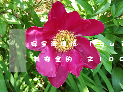 安全法律法規(guī)培訓論文(關于法制安全的論文,1000字以上)