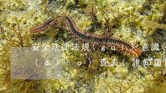 安全法律法規(guī)意識(shí)調(diào)查表(誰知道關(guān)于大學(xué)生法律意識(shí)調(diào)查分析怎么寫)