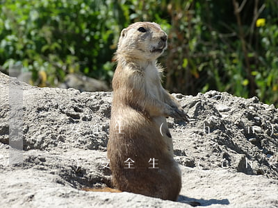 安全生產(chǎn)事故案例(企業(yè)安全生產(chǎn)事故案例)