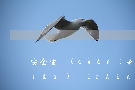 安全生產(chǎn)事故等級劃分標(biāo)準(zhǔn)(安全生產(chǎn)事故等級劃分標(biāo)準(zhǔn)及上報)