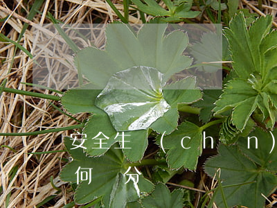 安全生產(chǎn)事故責(zé)任如何劃分