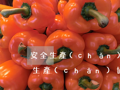 安全生產(chǎn)協(xié)議(安全生產(chǎn)協(xié)議)