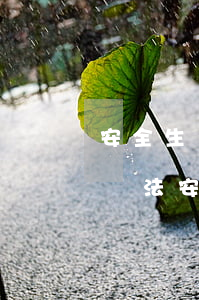 安全生產(chǎn)培訓(xùn)管理辦法(安全生產(chǎn)培訓(xùn)管理辦法實施日期)