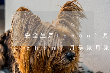 安全生產(chǎn)月是幾月(安全生產(chǎn)月是幾月幾日)