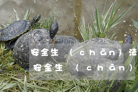 安全生產(chǎn)法2021最新版本(安全生產(chǎn)法2021最新版本下載)