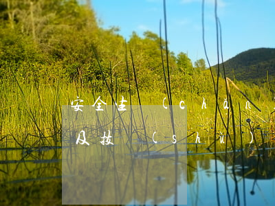 安全生產(chǎn)法律法規(guī)及技術(shù)標(biāo)準(zhǔn)(安全生產(chǎn)的法律法規(guī)有哪些)