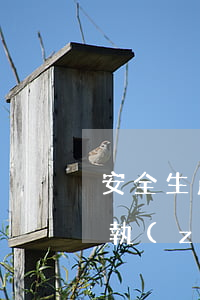 安全生產(chǎn)法律法規(guī)執(zhí)行情況(企業(yè)安全生產(chǎn)標(biāo)準(zhǔn)規(guī)范執(zhí)行情況是什么)