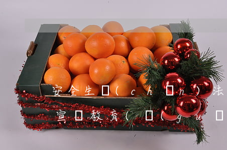 安全生產(chǎn)法律法規(guī)宣傳教育(關(guān)于安全法律教育的宣傳語(yǔ))