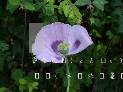 安全生產(chǎn)法律法規(guī)層級(以憲法為基礎(chǔ),我國安全生產(chǎn)法律體系包括哪四個(gè)層次)