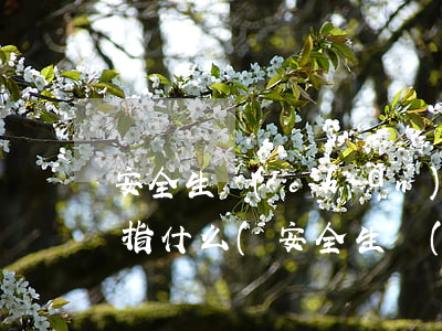 安全生產(chǎn)法律法規(guī)指什么(安全生產(chǎn)的法律法規(guī)有哪些)