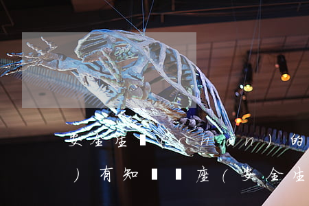 安全生產(chǎn)的法律法規(guī)有知識講座(安全生產(chǎn)的法律法規(guī)有哪些)