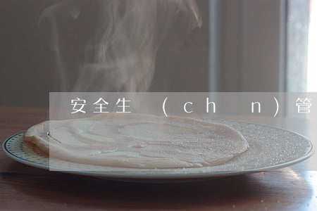 安全生產(chǎn)管理辦法