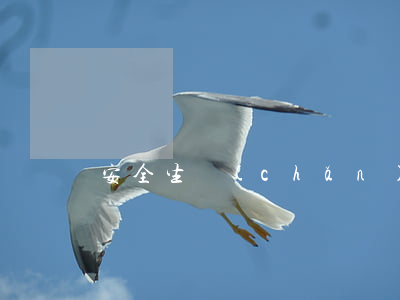安全生產(chǎn)許可證