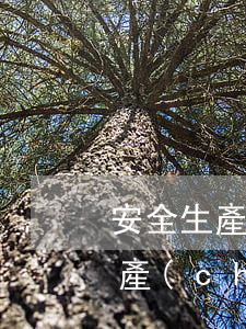 安全生產(chǎn)許可證有效期(安全生產(chǎn)許可證有效期滿需要延期的,企業(yè)應(yīng)當(dāng)于期滿前)