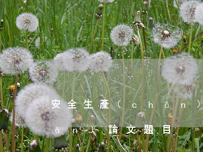 安全生產(chǎn)論文(安全生產(chǎn)論文題目)
