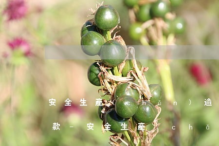 安全生產(chǎn)逾期未改正處多少罰款-安全生產(chǎn)逾期未改正處多少罰款呢