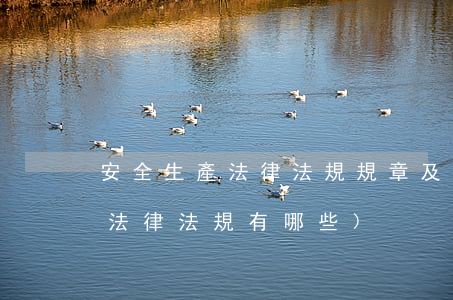 安全生產法律法規規章及規程(安全生產的法律法規有哪些)