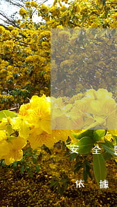 安全監(jiān)理法律法規(guī)依據(jù)是什么(建設(shè)工程安全監(jiān)理產(chǎn)生的法律依據(jù)是什么其內(nèi)涵包括哪些內(nèi)容)