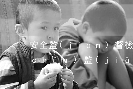 安全監(jiān)督檢查制度(安全生產(chǎn)監(jiān)督檢查制度范文)