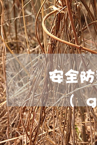 安全防范工程(安全防范工程技術(shù)規(guī)范 GB50348-2018)