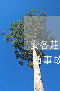 安各莊最新交通事故(今日安州區(qū)交通事故)