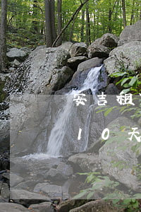安吉租赁逾期10天上征信吗(安吉租赁逾期10天上征信吗有没有事)
