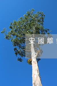 安國離婚官司律師費用(離婚官司律師費要多少)