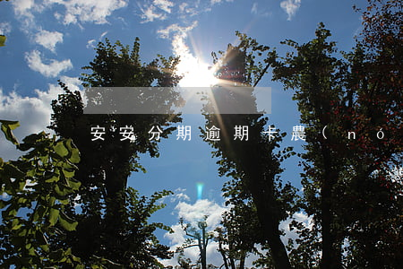安安分期逾期卡農(nóng)