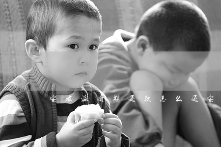 安家派逾期还款怎么还(安家派贷款怎么样)