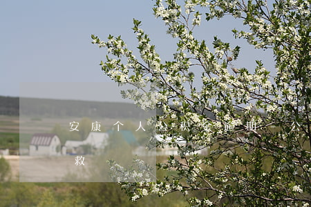 安康个人公积金逾期-公积金逾期了怎么补救
