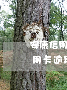 安康信用卡逾期怎么申請停息掛賬-安康信用卡逾期怎么申請停息掛賬的