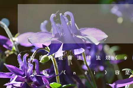 安康杯競賽法律法規(guī)(安康杯的活動內(nèi)容是什么)
