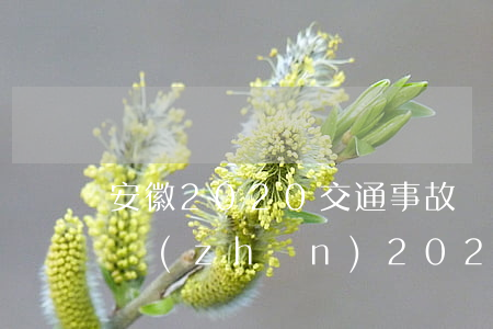 安徽2020交通事故賠償標(biāo)準(zhǔn)(2020安徽省交通傷殘賠償)