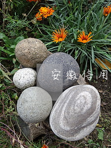 安徽信用卡逾期修復(fù)公司