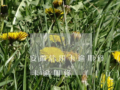 安徽信用卡逾期修復(fù)費用(安徽信用卡逾期修復(fù)費用)