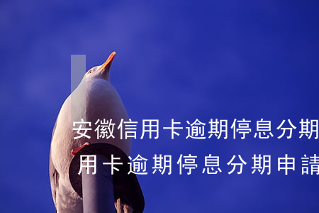 安徽信用卡逾期停息分期申請條件-安徽信用卡逾期停息分期申請條件是什么