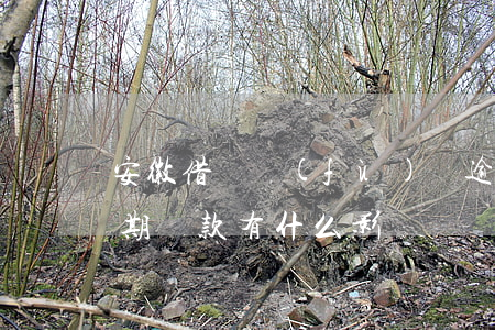 安徽借唄負(fù)債逾期影響大嗎(借唄逾期還款有什么影響)