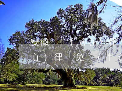 安徽債務(wù)律師找哪家 合肥債務(wù)律師免費(fèi)咨詢