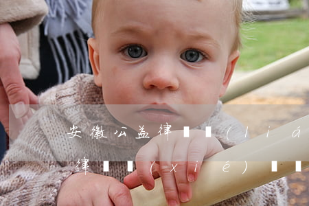 安徽公益律師聯(lián)系方式(安徽省律師協(xié)會電話)